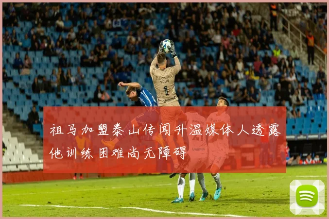 祖马加盟泰山传闻升温媒体人透露他训练困难尚无障碍